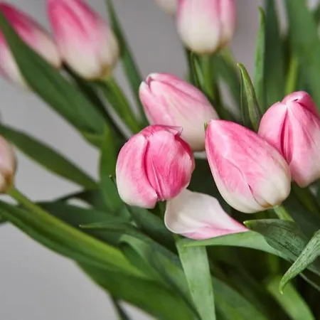 Unique Brick 1 - Old Town & Market Square 公寓 *